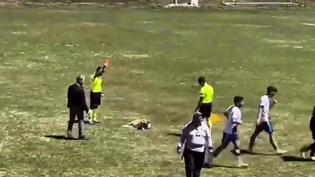 Судья показал красную карточку собаке, отказавшейся уходить с футбольного поля