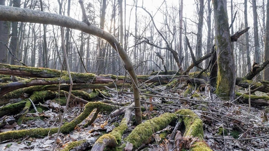 В столице усиливают контроль за состоянием водоохранных зон