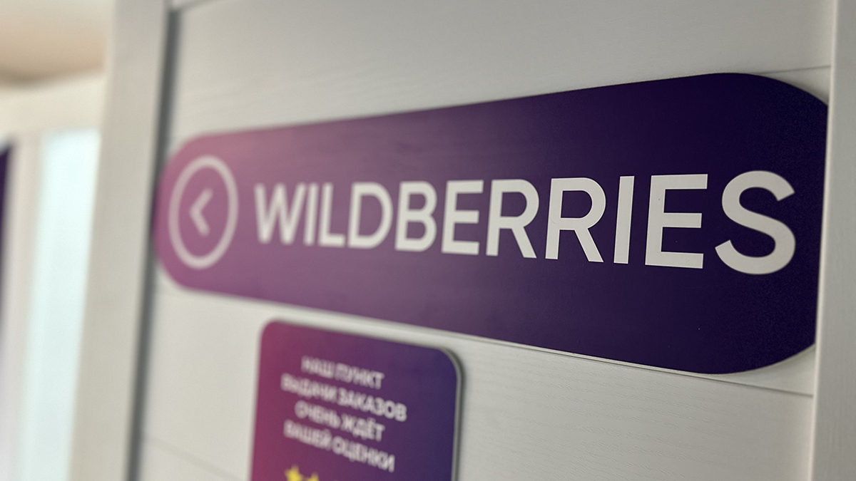 Мирзоян: Wildberries готовится к выходу на африканский рынок