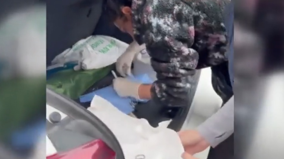 Ветеринар прооперировал кошку в багажнике машины во время землетрясения в Стамбуле