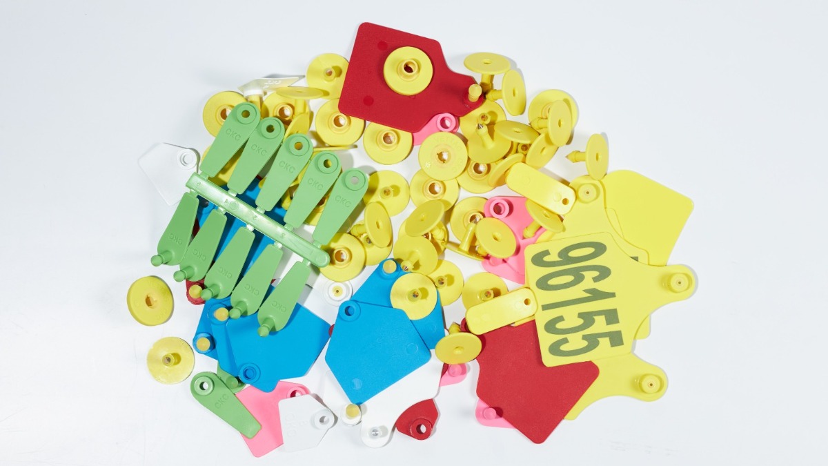 Москва укрепляет позиции в производстве высокотехнологичных решений для животноводства