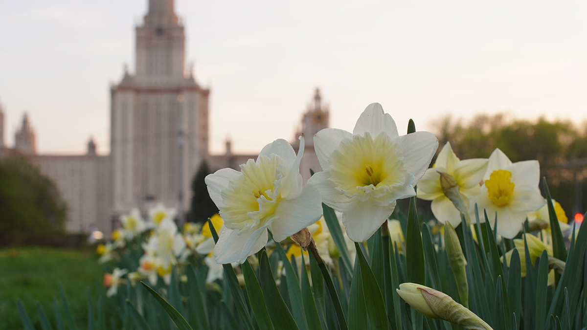 Погода в Москве в апреле