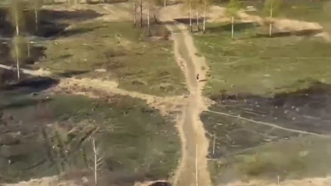 Иностранку выдворят из России за поджог травы в подмосковном Домодедове