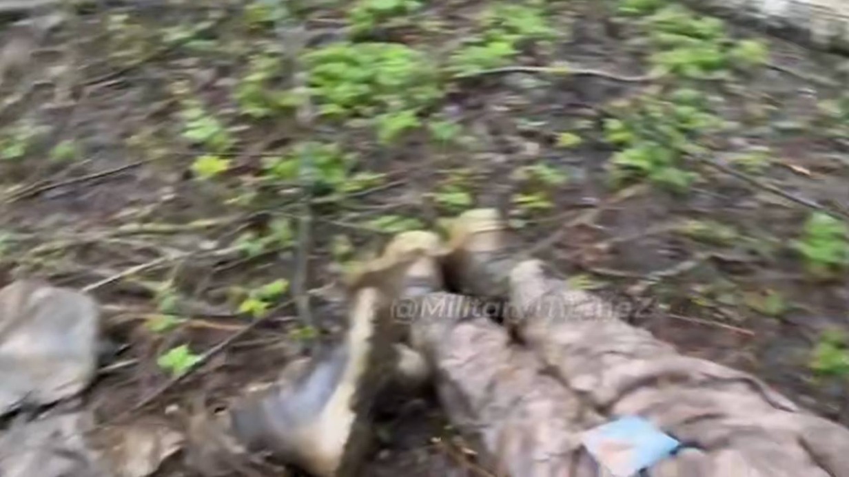Тела ВСУ в окрестностях монастыря в Горнале сняли на видео