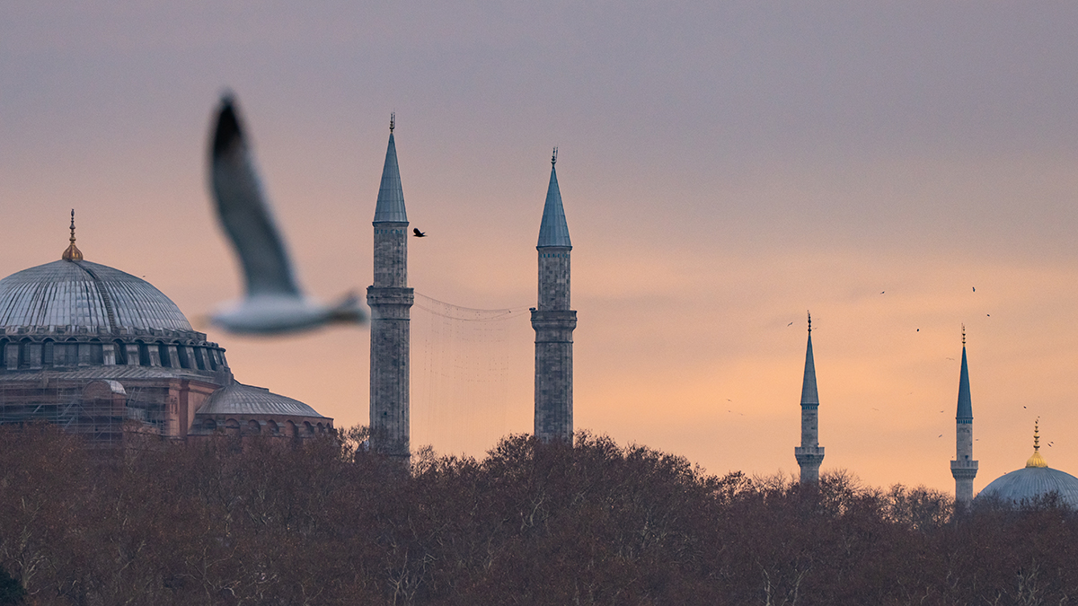 Greekreporter: В Турции обнаружили 1500-летние сандалии с трогательным посланием