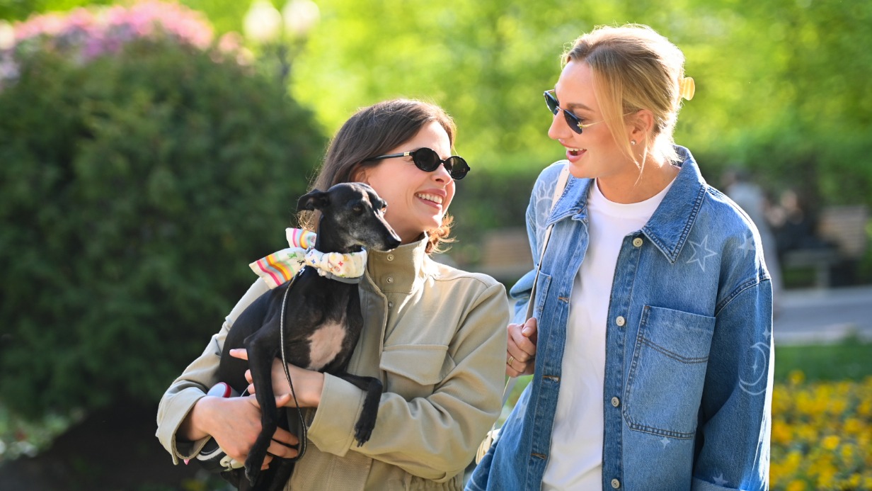 Более 1100 килограммов корма собрали участники проекта «Четвероногий друг»