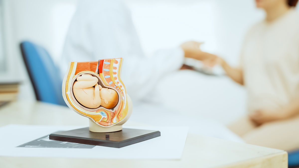 В Госдуме предложили ввести запрет на аборты в День семьи, любви и верности