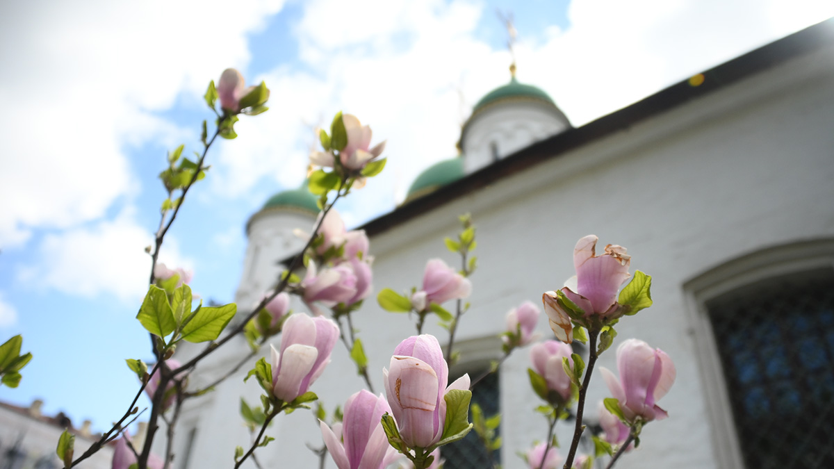 Как определить день именин