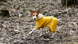 Метеоролог Позднякова предупредила о новой волне похолодания в Москве