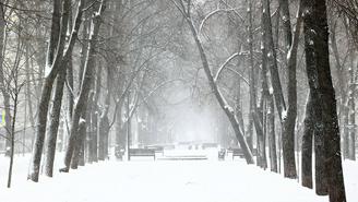 Прошедший 25 декабря снегопад в Москве стал самым сильным с начала зимы