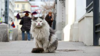 Погода в Москве с 6 по 12 апреля