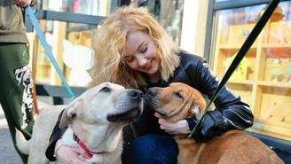 Сотни добрых дел: как фестиваль «Пасхальный дар» помогает четвероногим друзьям