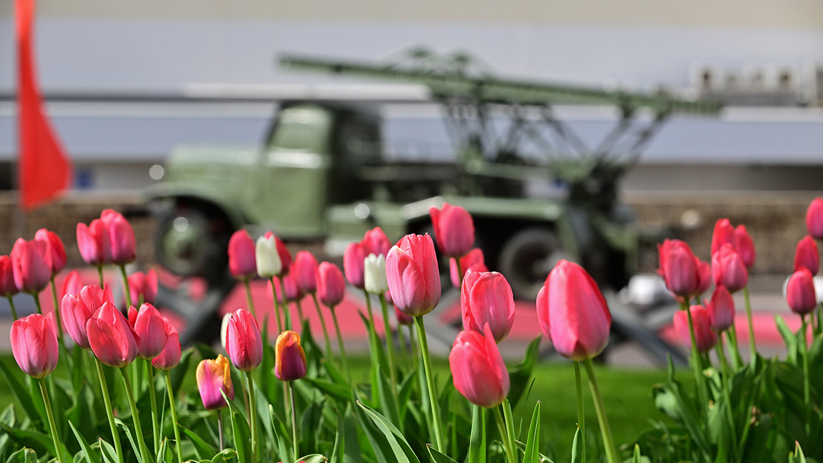 Вильфанд: О сильных дождях и мокром снеге в столичном регионе пока можно забыть