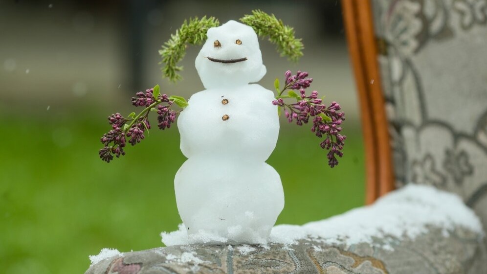 Почему в Москве выпал снег в мае