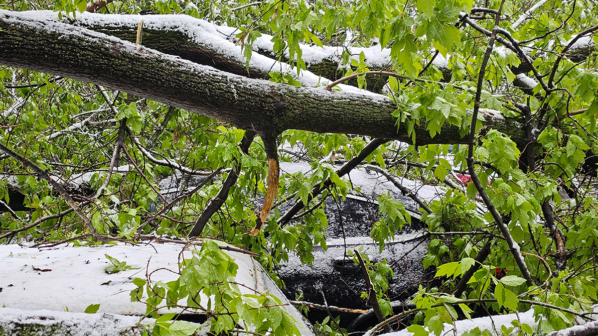 Последствия снегопада в Люберцах устранили