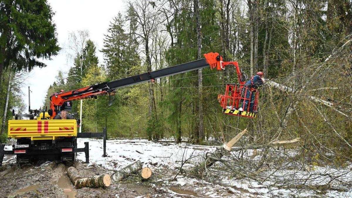Энергетики назвали последствия непогоды в Подмосковье самыми тяжелыми за 15 лет