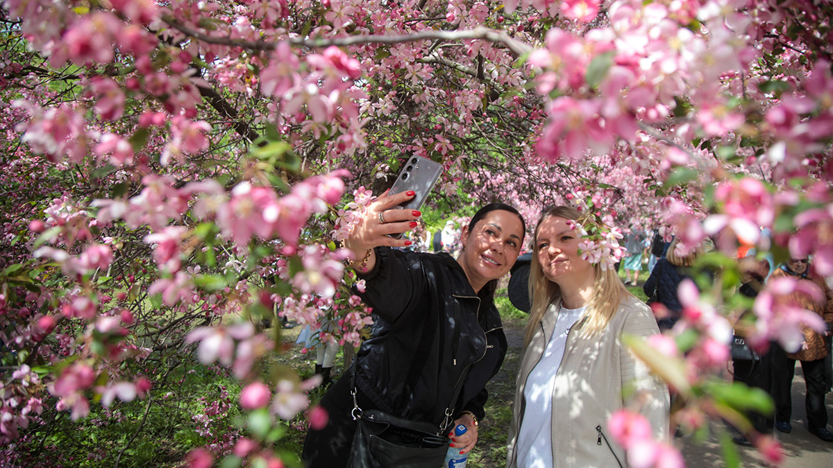 Погода в Москве 12-18 мая 2025