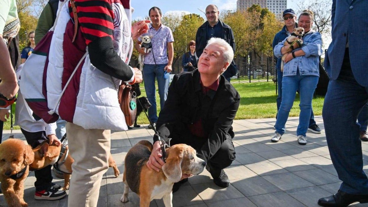 Сергей Собянин: В Москве будут созданы полноценные кинологические парки