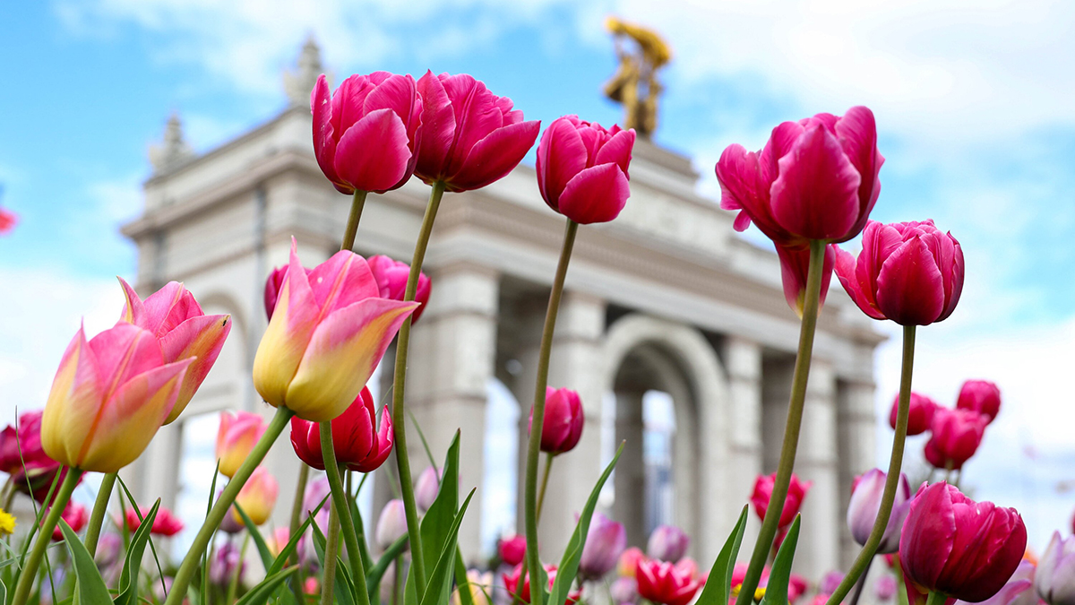 Собянин рассказал об обновленной ко Дню Победы экспозиции Музея героизма на ВДНХ