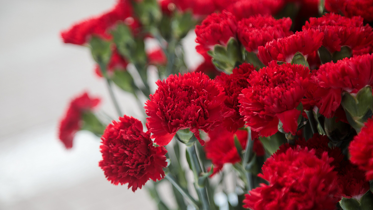 Акции памяти в местах совершения террористических актов пройдут в Москве 3 сентября