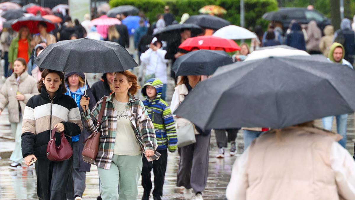 Погода в Москве 15 июня