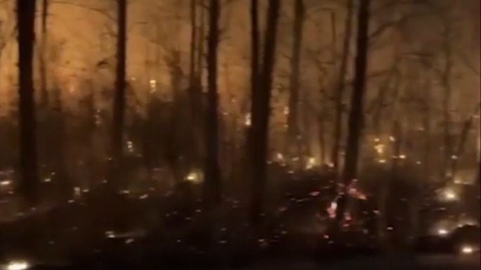 Shot: Сильный лесной пожар произошел в Амурской области