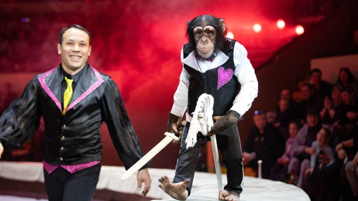 Гастроли Большого московского цирка прошли в Донецкой Народной Республике