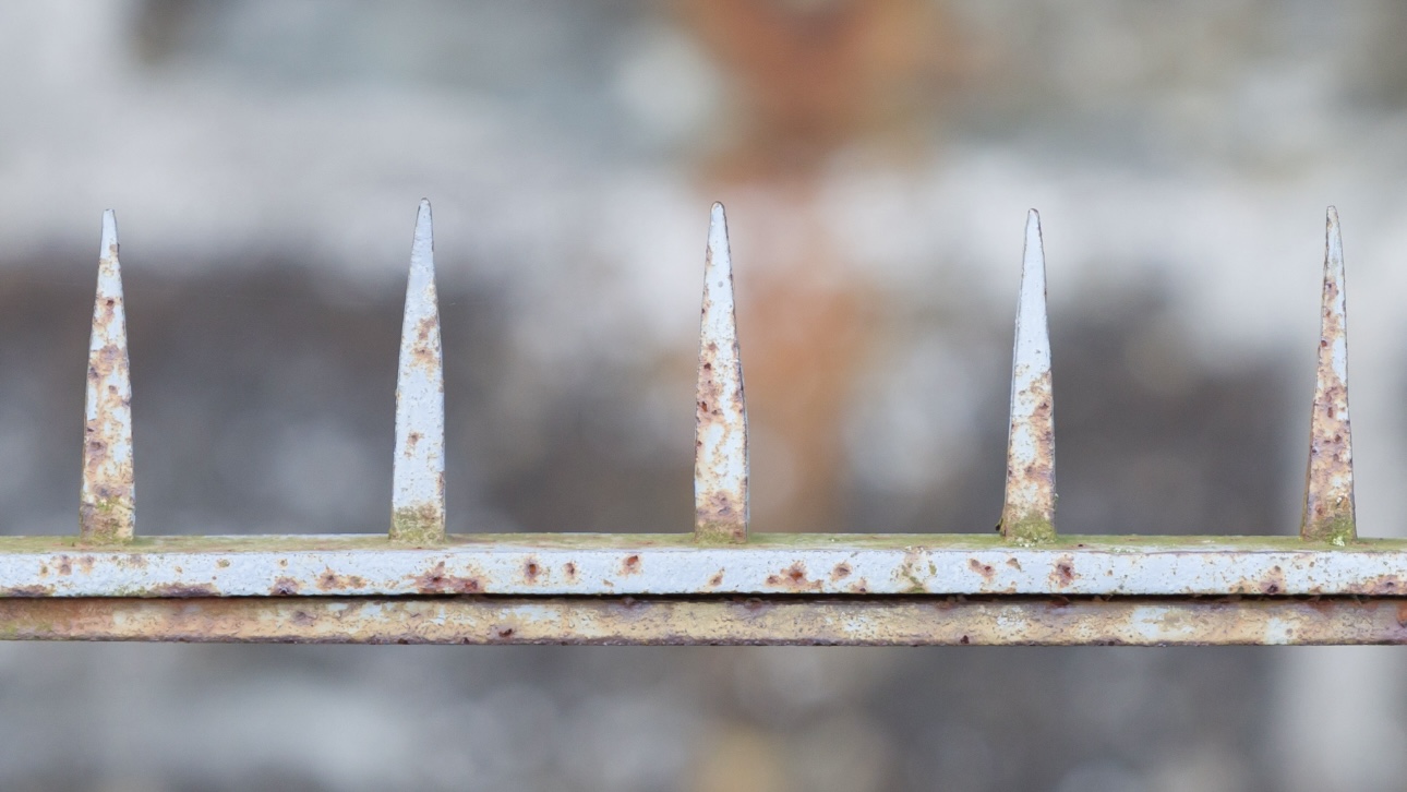 Тело девушки нашли на заборе в Перми: как она погибла, могли ли ее убить и что она делала в день смерти