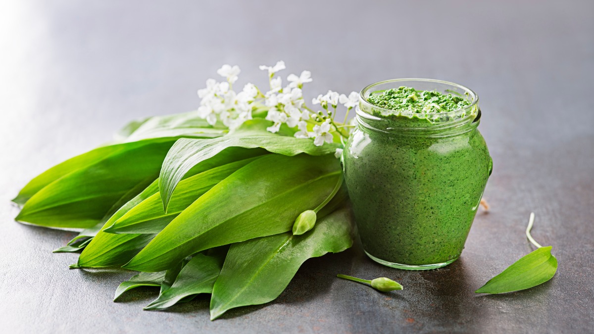 Какие ядовитые растения похожи на полезные