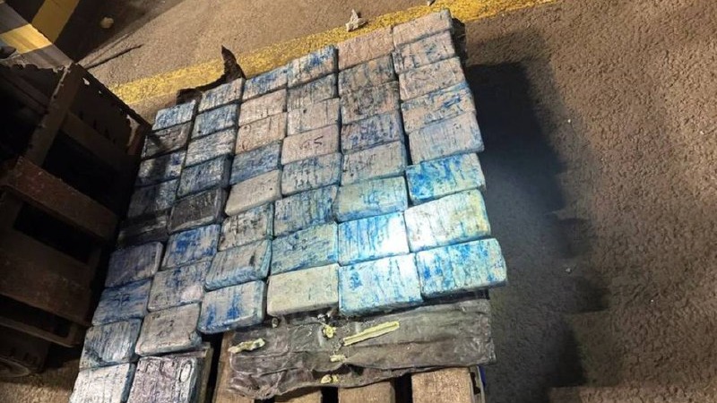 Питерские таможенники задержали в порту партию кокаина на полмиллиарда рублей