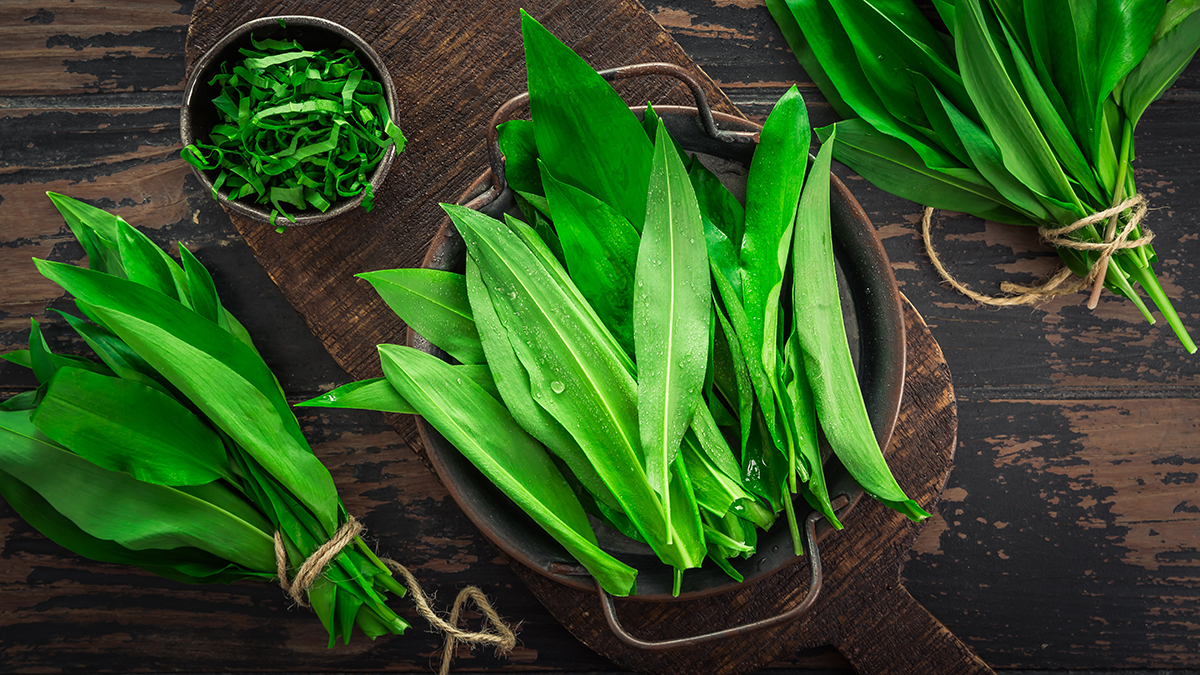 Мужчина в Люберцах отравился ядовитой травой, которую ему продали вместо черемши