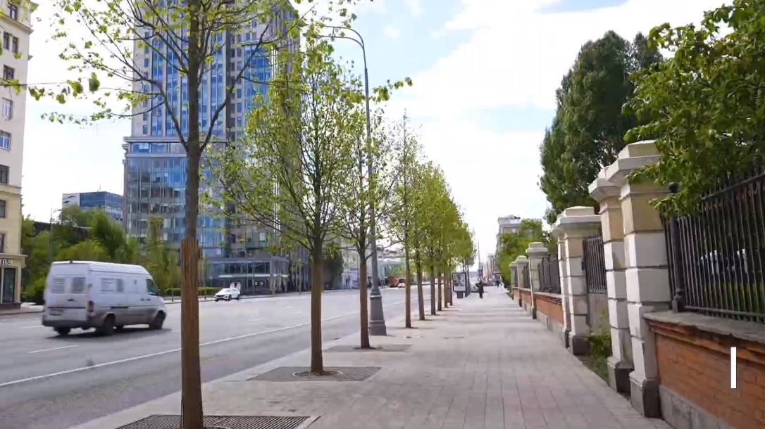 Собянин: Более 400 деревьев высадили на исторической части Ленинского проспекта