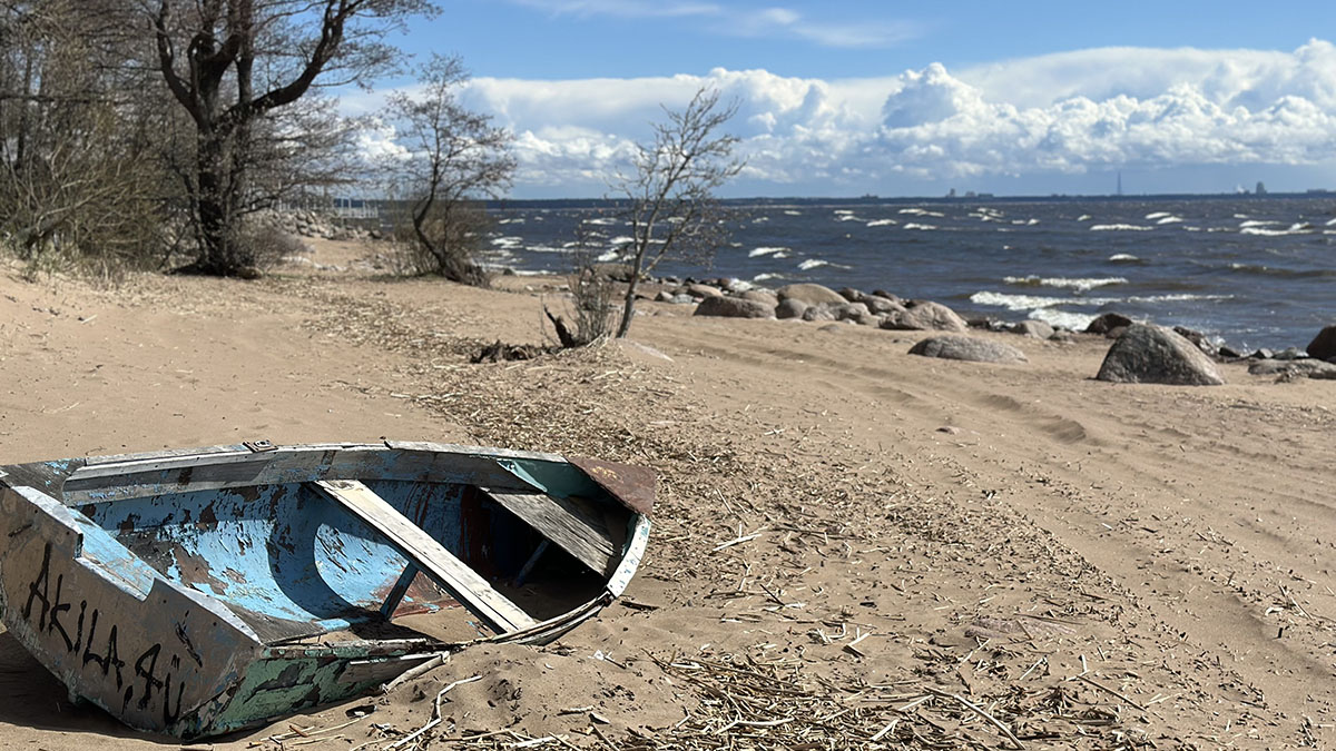 Россия испытала систему «Аурелия» для защиты от морских дронов в Финском заливе