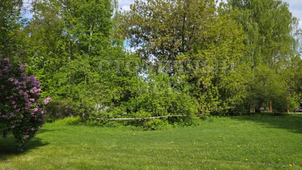 Тело мужчины с ножевыми ранениями обнаружили в парке на севере Москвы