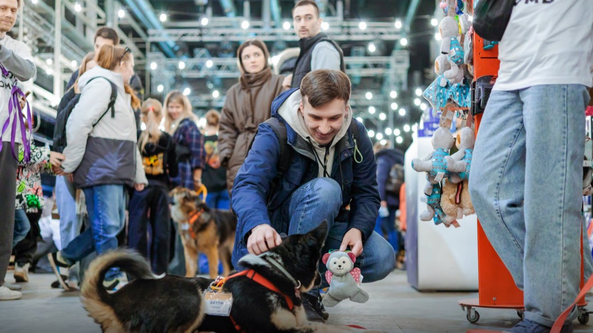 Сергей Собянин рассказал о городской поддержке благотворительности и НКО