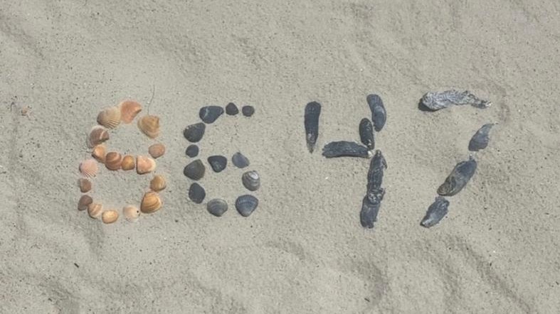 Экс-директор ФБР Коми выложил из ракушек число 8647, намекнув на убийство Трампа