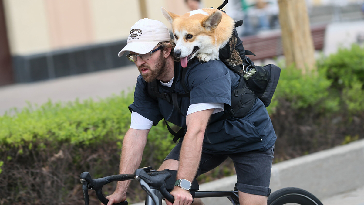 Каким будет май 2026 в Москве