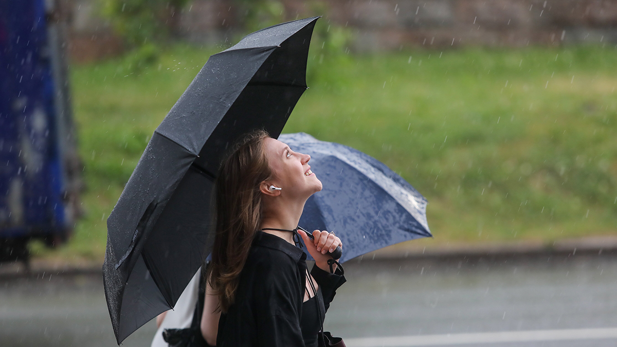 Ливень, гроза, град и ветер: москвичей предупредили о непогоде до утра вторника