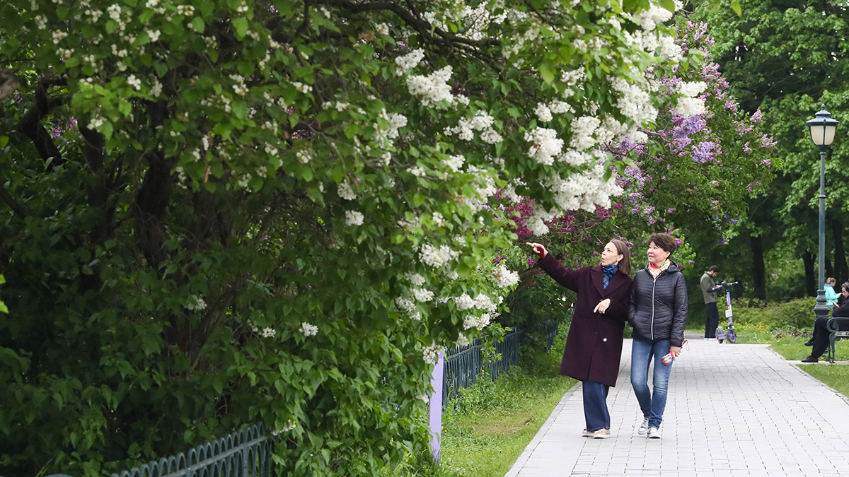 Москвичи выбрали лучшие места столицы для неспешных и спортивных прогулок