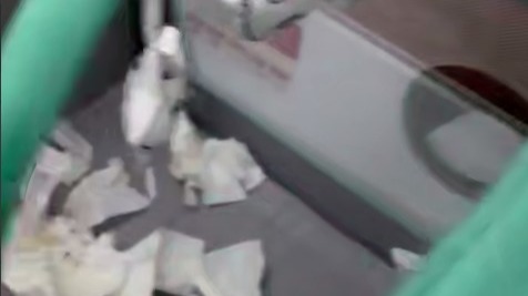 «Горько и обидно»: комнату матери и ребенка захламили в Московском зоопарке