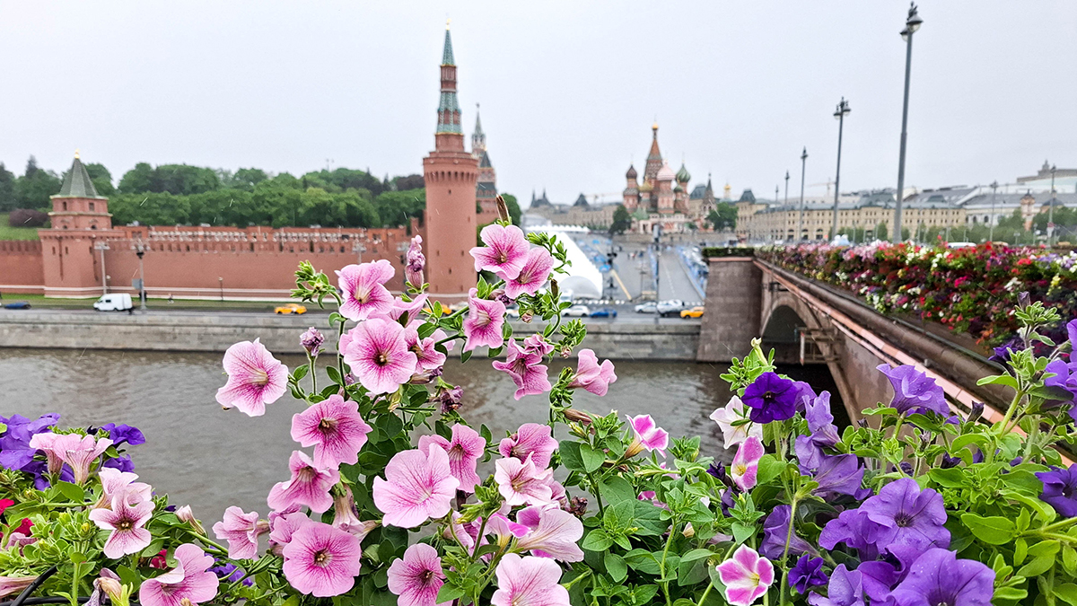 Синоптик Позднякова назвала самый теплый и самый холодный дни недели