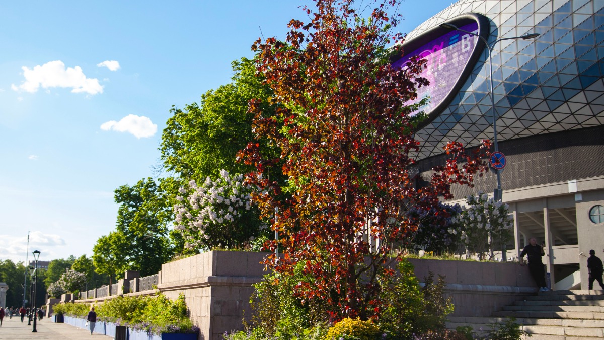 Здание ТАСС и футбольный сад у ВТБ Арена: чем удивят новые локации фестиваля «Сады и Цветы»