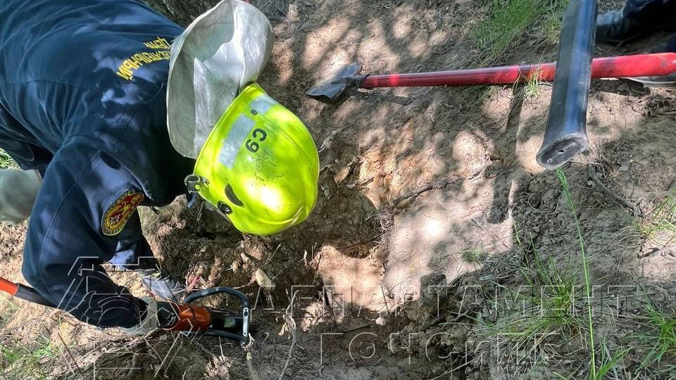 Застрявшую в бобровой норе собаку спасли на северо-западе Москвы