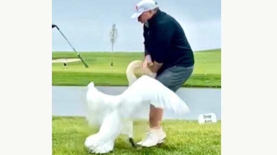 Трамп показал фото Уиткоффа, на котором лебедь кусает его между ног