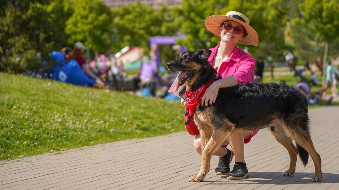 Более 40 тысяч москвичей приняли участие в фестивале «Лапки»