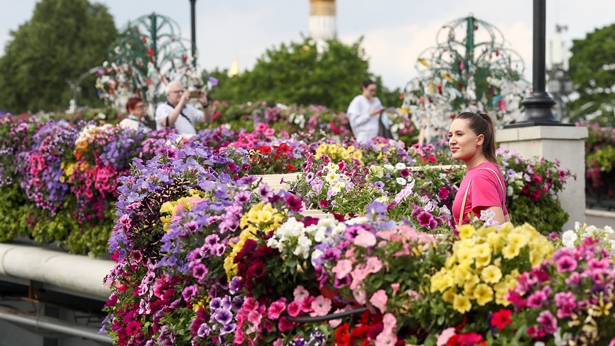 Погода в Москве 7 июня
