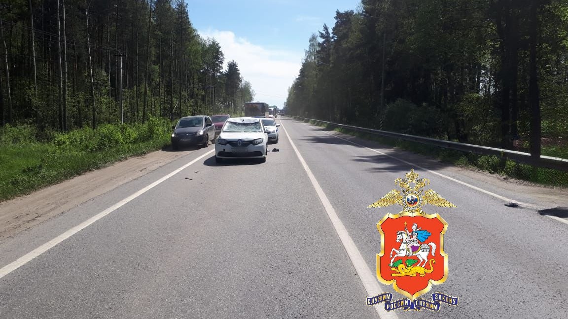 Полиция начала проверку после ДТП с лосем на трассе в Подмосковье