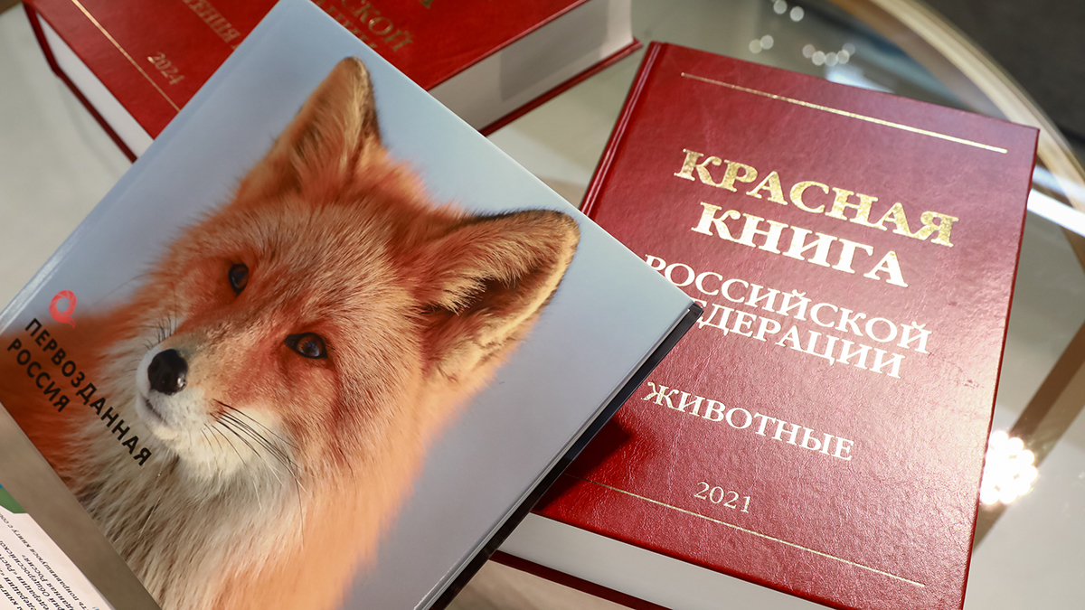 РБК: Ведение Красной книги России передали департаменту охоты