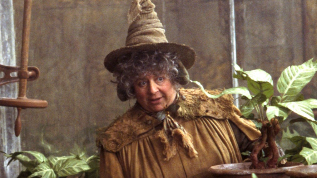 Звезда «Гарри Поттера» Маргулис заявила, что может умереть в течение 5–6 лет