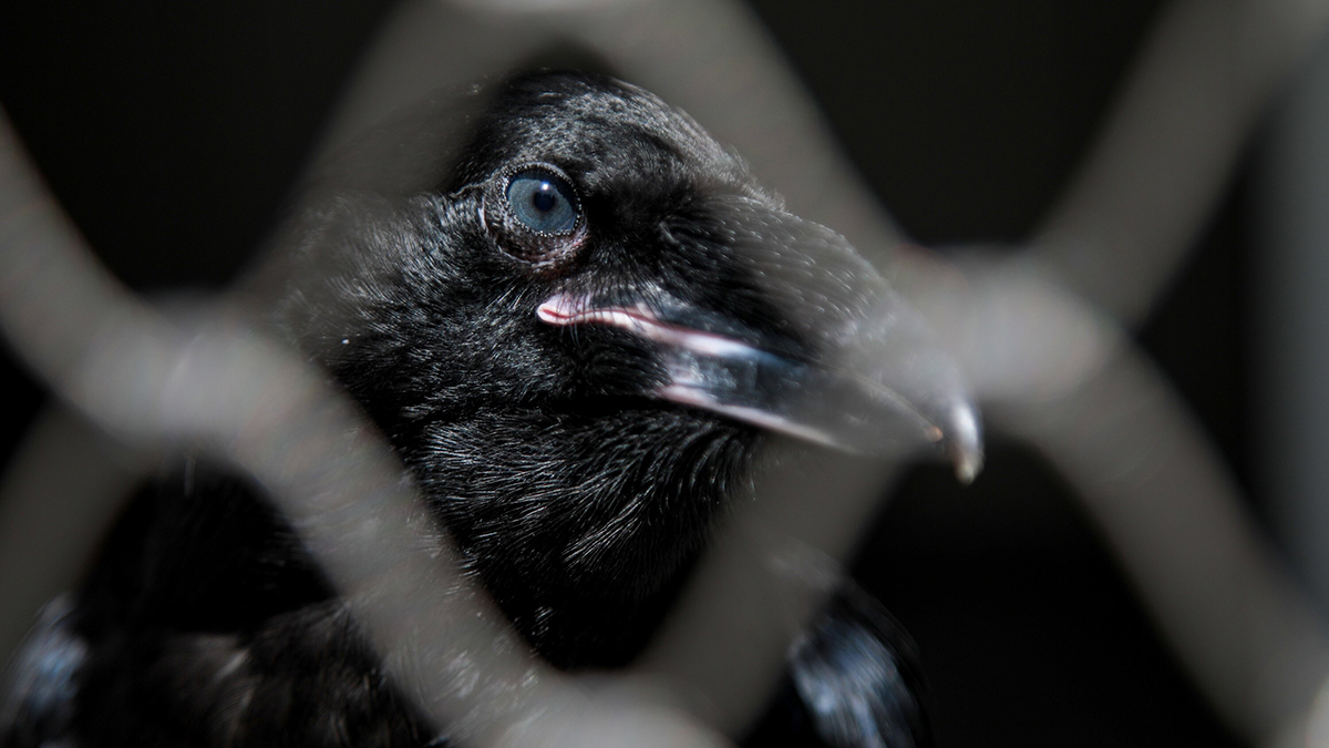 Народные приметы на 24 октября